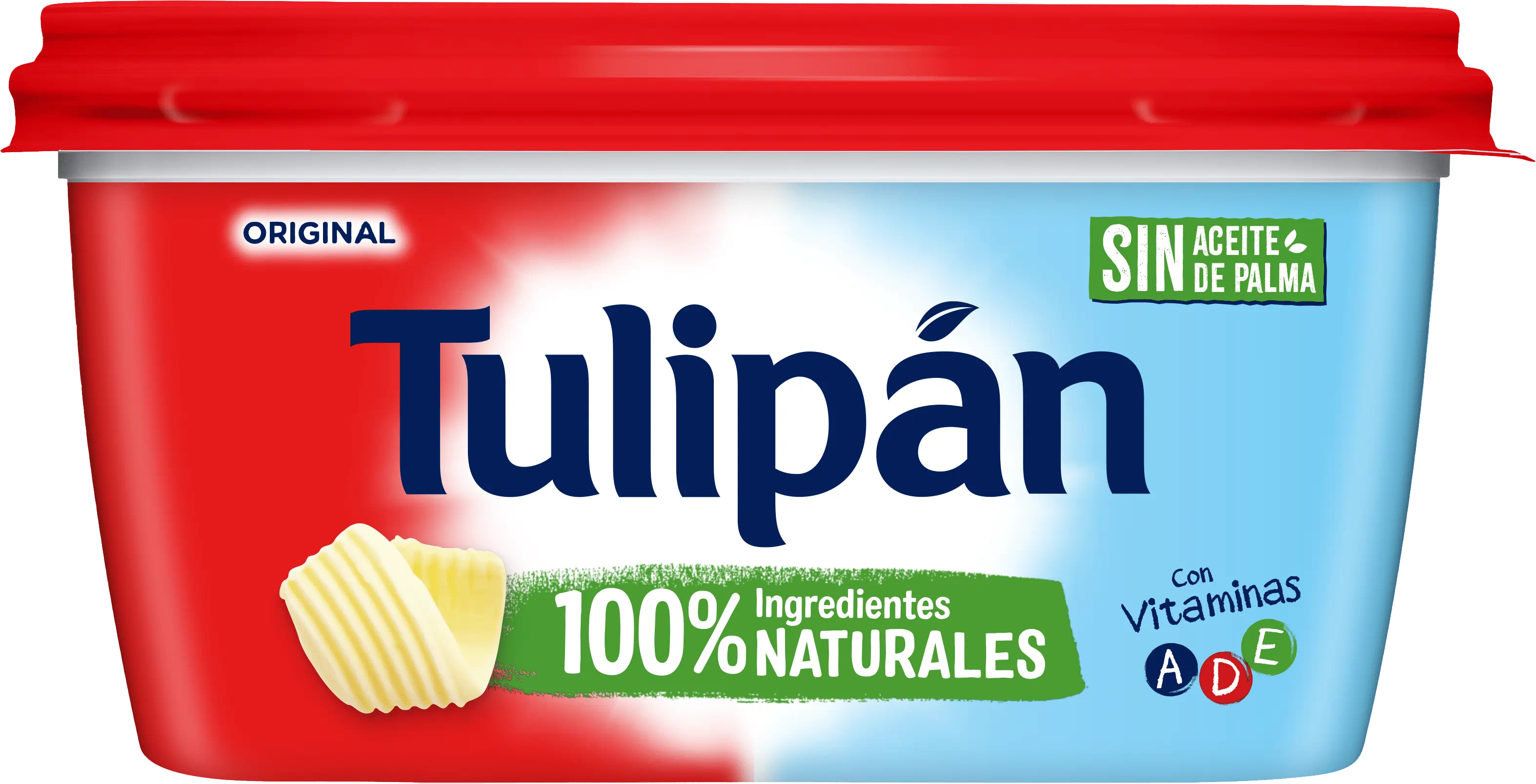 Tulipan
